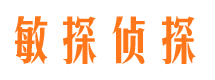 新野市调查公司